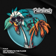 crane the brain - Get Down To The Floor (Streaming Edit) [Palmlands Records]