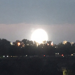 The Beginning of the End