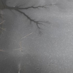 i do want to know , you know?