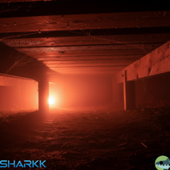 Crawlspace