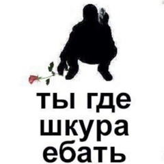 DONT TRUST