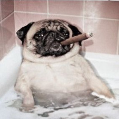 Брики (prod. 2kissyoshi. posh prada)