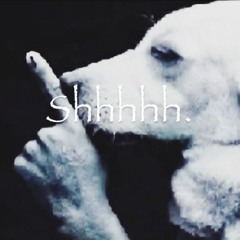 shi i prod