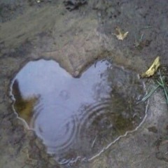 *E* TE VEO COMO UNA SELVA MIENTRAS YO ME VEO COMO TARZAN