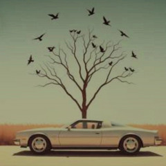 When Birds Attack