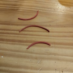 The Electric Trombone Strikes Again.wav