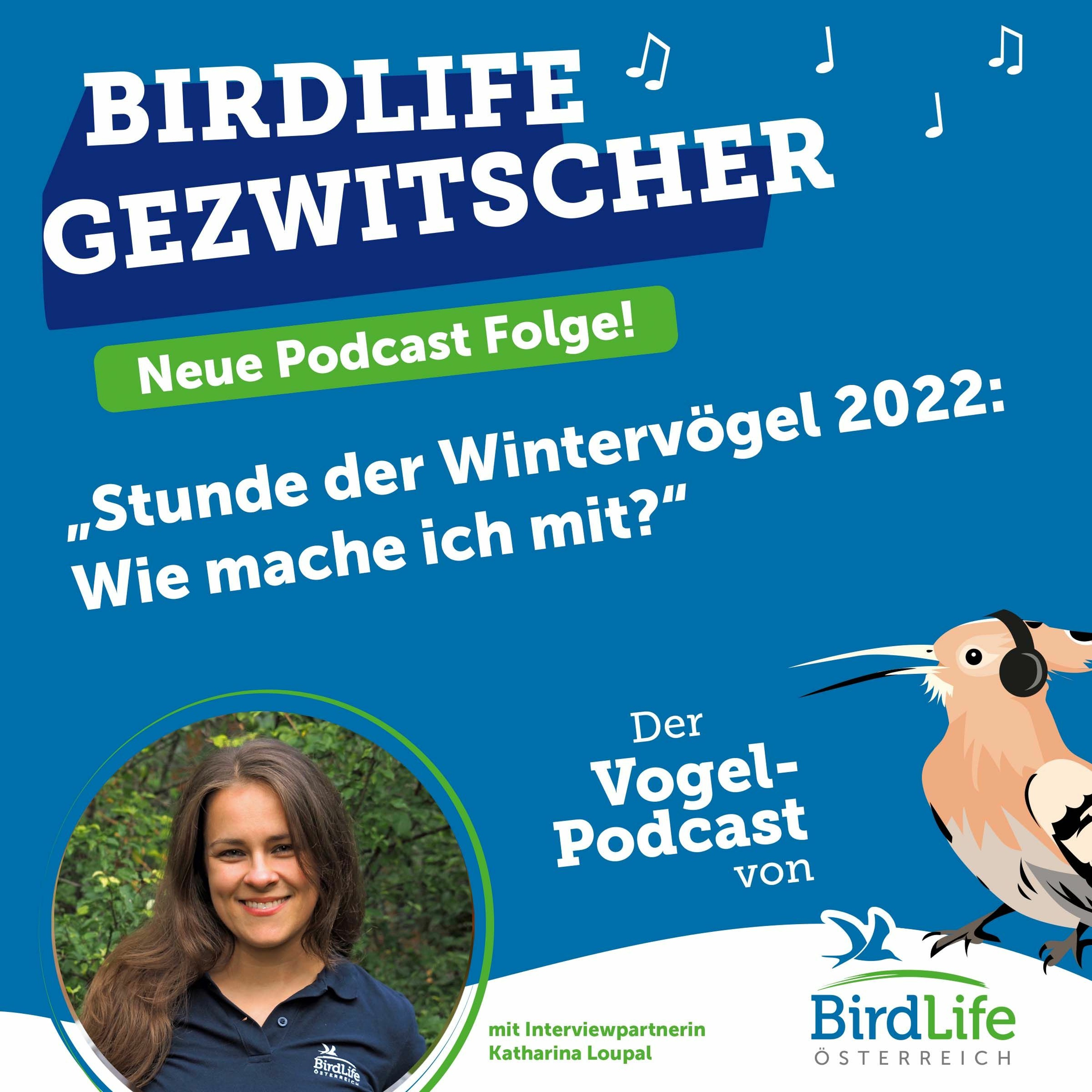 BirdLife Gezwitscher
