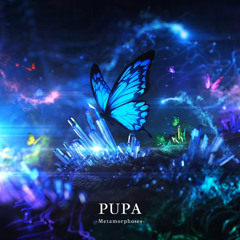 PUPA (xi Remix)