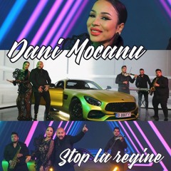 Dani Mocanu - Stop La Regine  Official Audio