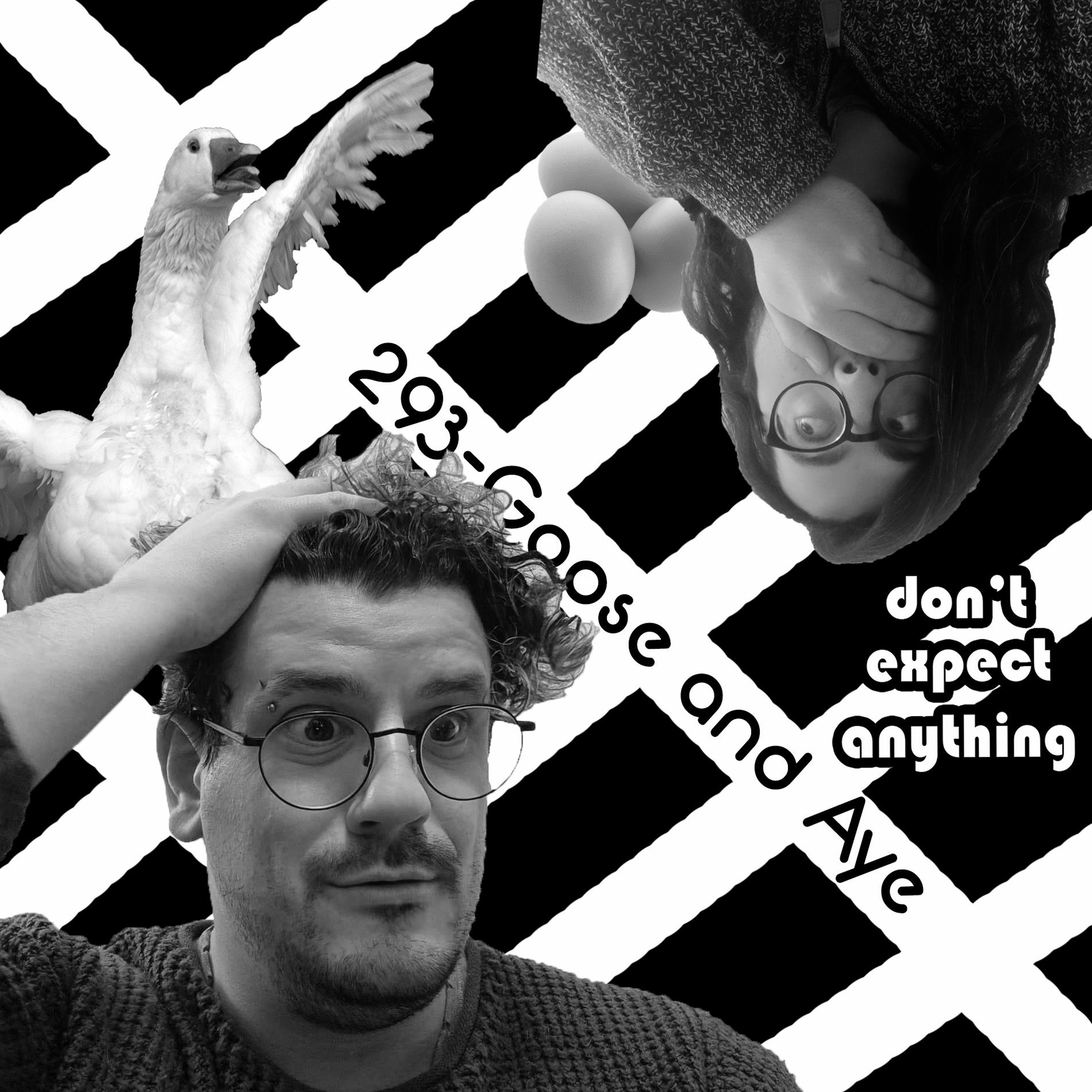 293 - Goose And Aye