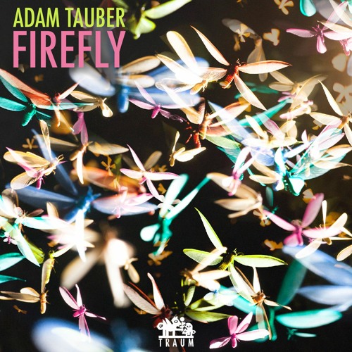Adam Tauber - Circles  (Traum V259)