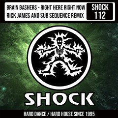 Brain Bashers - Right Here Right Now (Rick James & Sub Sequence Remix) [Shock Record]