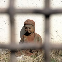 Free Your Mind Mantra - A Performance Piece