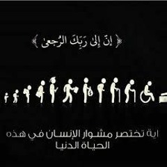 فهم الموت...الشيخ محمد حسين يعقوب