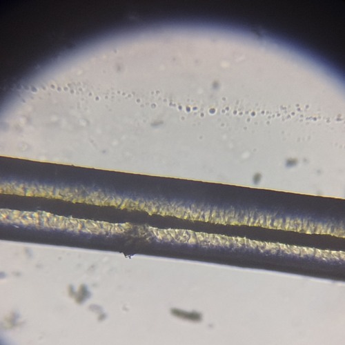 Microscopy