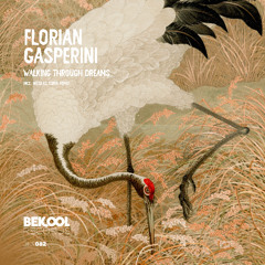 Florian Gasperini - Walking Through Dreams (Nicolas Soria Remix)
