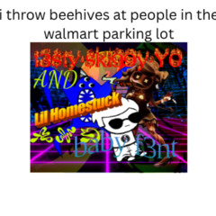 i throw beehives at people in the walmart parking lot