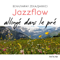 Allongé dans le pré