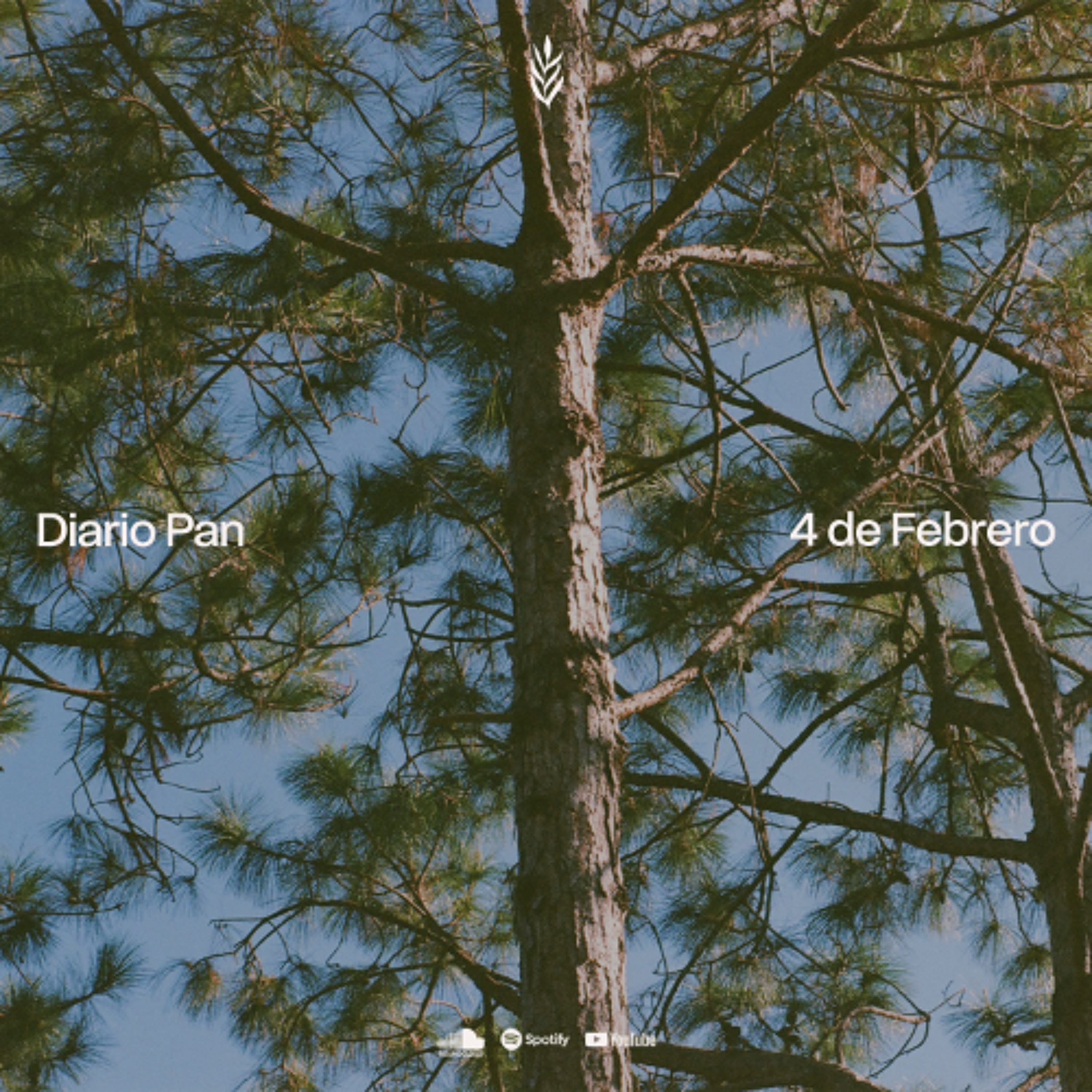 Devocional Diario Pan 4 de Febrero #DiarioPan