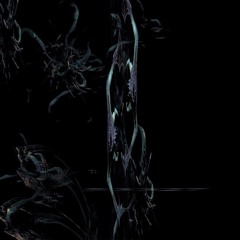 xyr xce - snl