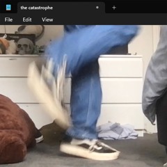 the catastrophe