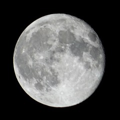 THE CALL FROM THE MOON (Lyrics)