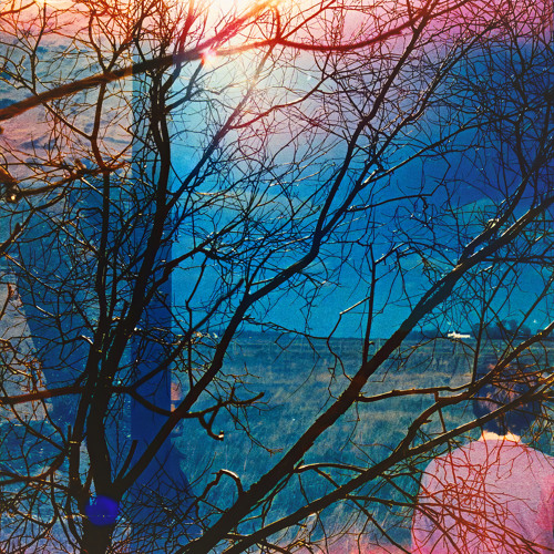 I Wish I Wrote It Down