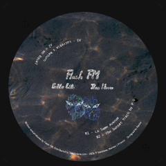 [VLS15] Flash FM - Better Late Than Never EP