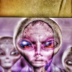 Silver47 - October Swimmer