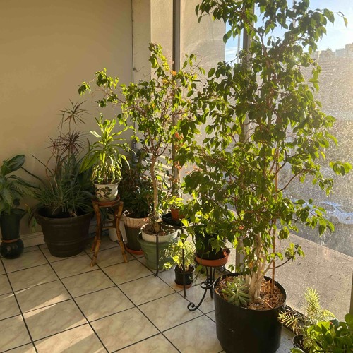 carry on carrying on