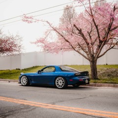 day10.23.stanced2