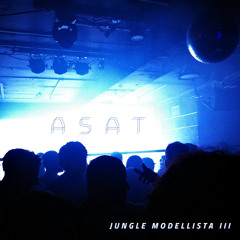 Jungle Modellista 3 - Jungle Drum and Bass Mix 2024