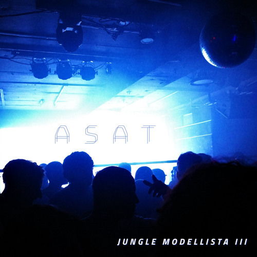 Jungle Modellista 3 - Jungle Drum and Bass Mix 2024