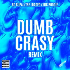 Dumb Crasy (Remix)