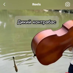 чипсы с солью