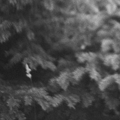 Magnetic Jungle (remix)