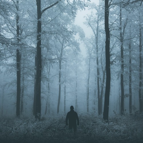 rocky rhythm's. + wolfrum