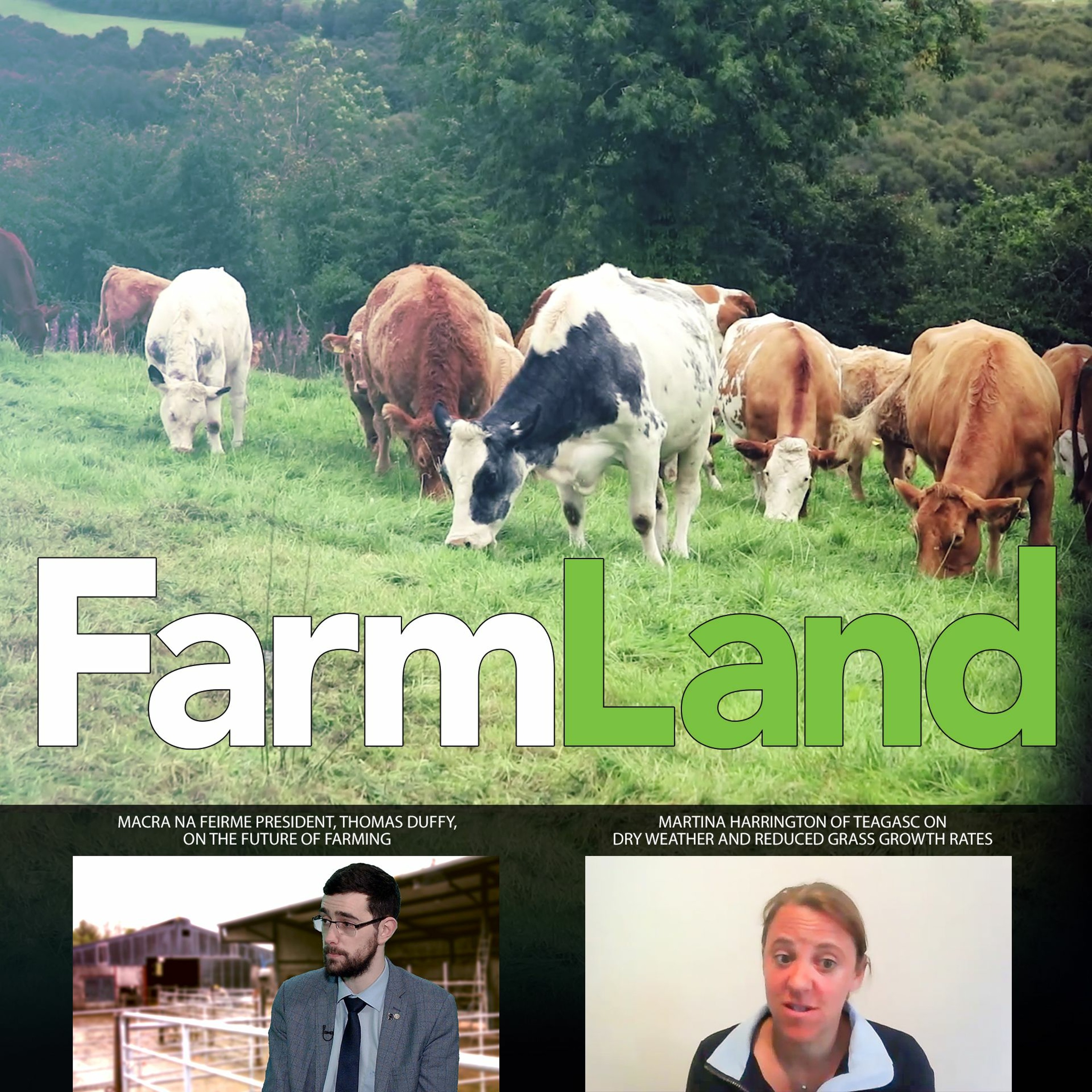 FarmLand: 4th June 2020