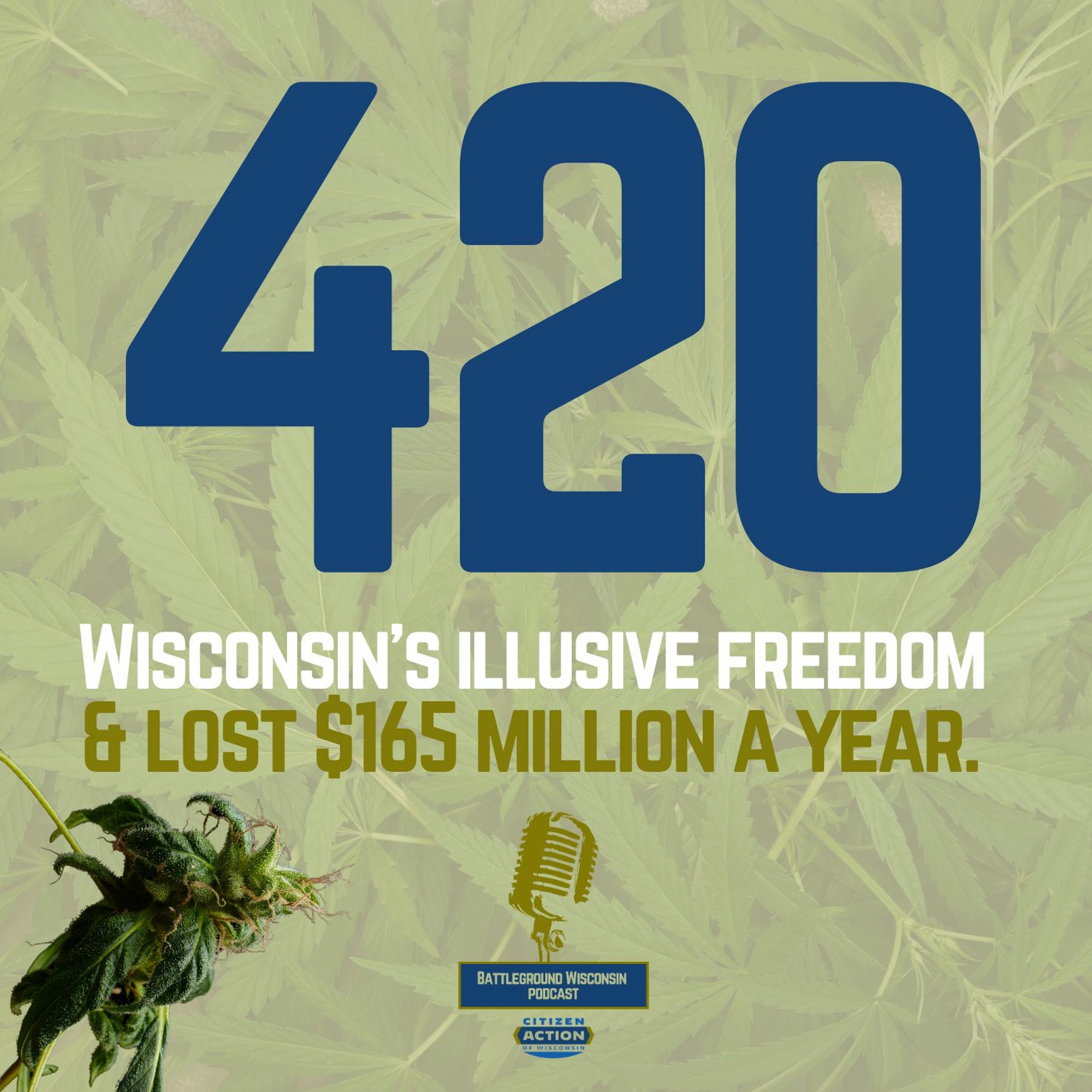 420: Wisconsin’s illusive freedom & lost $165 million a year