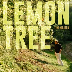 Lemon Tree Yeah