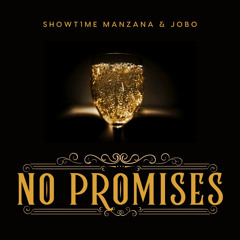 NO PROMISES (FEAT. JOBO)