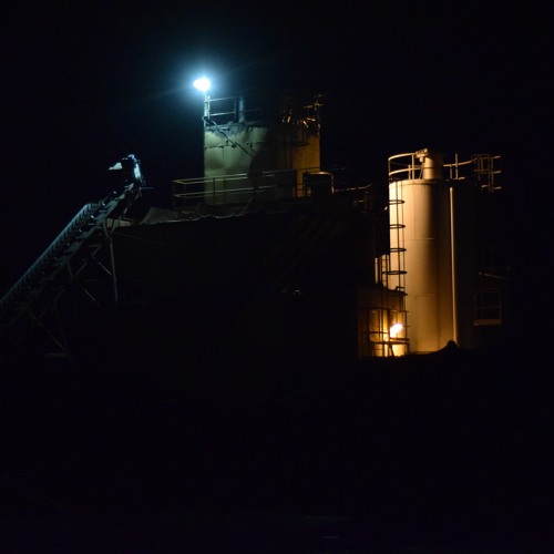 Beleaguered Custard Cream