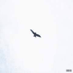 Elevate (Original Mix)