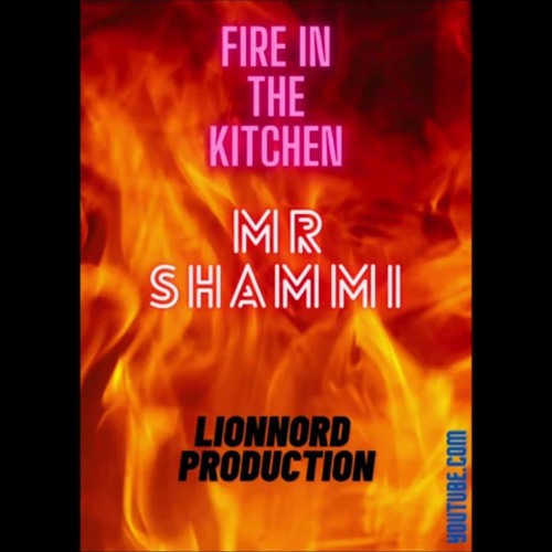 MR. SHAMMI  FIRE IN THE KITCHEN & LIONNORD PRODUCTION