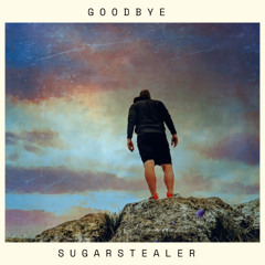 Goodbye