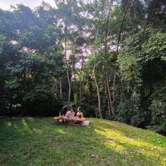 Turtles - Jungle trip