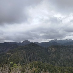 Satsop hills Vertical dataset