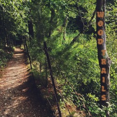 WOOD TRAILS (beat tape)