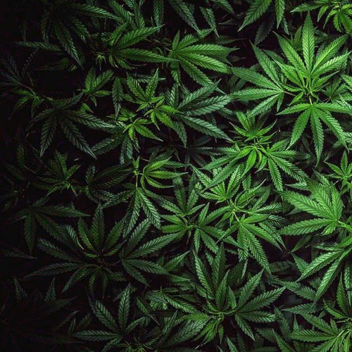 TIC DECK - (Mackøm X Raiguetss)