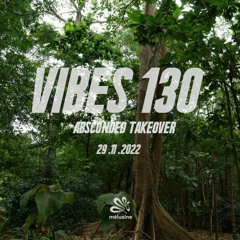 Vibes 130